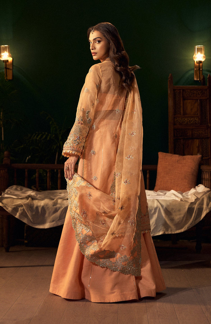 Morganite peach dress featuring a low back design with tie-up details and flowing chiffon fabric, Back view 