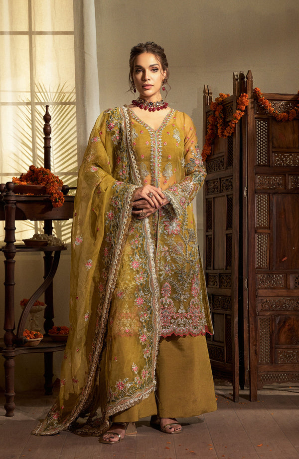 Amber Dress – Elegant net and raw silk outfit with exquisite detailing | Fabiha Fatima